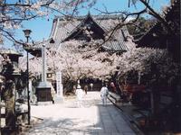 近畿・関西：紀三井寺