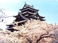 中国・山陰山陽：松江城・春