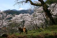 中国：みろく公園