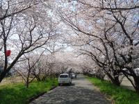 四国：岩脇公園