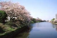 九州：舞鶴公園