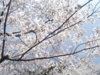 九州:風頭公園