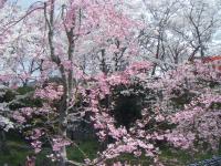 九州:風頭公園