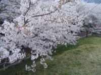 九州:風頭公園