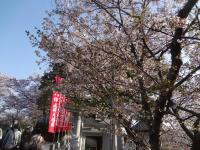 九州:風頭公園